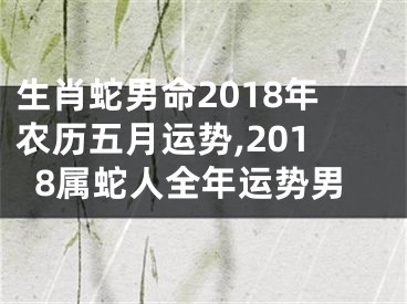 生肖蛇男命2018年农历五月运势,2018属蛇人全年运势男