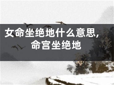 女命坐绝地什么意思,命宫坐绝地
