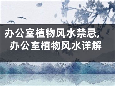 办公室植物风水禁忌,办公室植物风水详解