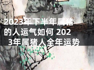 2023年下半年属猪的人运气如何 2023年属猪人全年运势