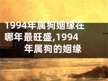 1994年属狗姻缘在哪年最旺盛,1994年属狗的姻缘