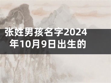 张姓男孩名字2024年10月9日出生的