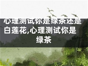 心理测试你是绿茶还是白莲花,心理测试你是绿茶
