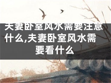 夫妻卧室风水需要注意什么,夫妻卧室风水需要看什么