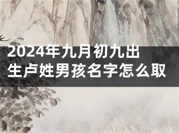 2024年九月初九出生卢姓男孩名字怎么取