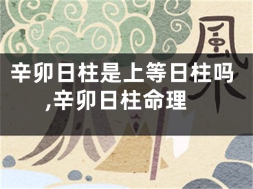 辛卯日柱是上等日柱吗,辛卯日柱命理