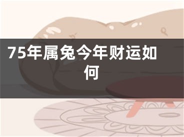75年属兔今年财运如何