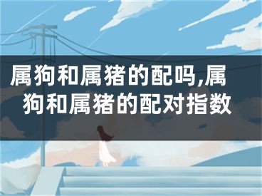 属狗和属猪的配吗,属狗和属猪的配对指数
