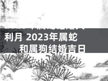 2023年属蛇结婚大利月 2023年属蛇和属狗结婚吉日