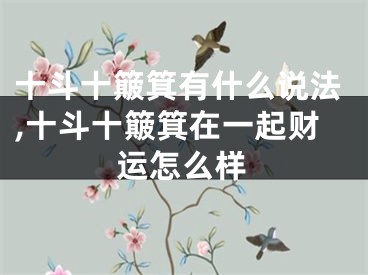 十斗十簸箕有什么说法,十斗十簸箕在一起财运怎么样