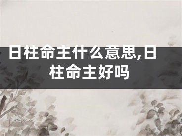日柱命主什么意思,日柱命主好吗