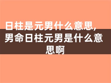 日柱是元男什么意思,男命日柱元男是什么意思啊