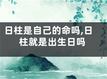 日柱是自己的命吗,日柱就是出生日吗