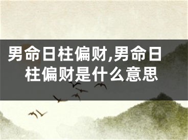 男命日柱偏财,男命日柱偏财是什么意思
