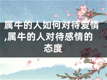 属牛的人如何对待爱情,属牛的人对待感情的态度