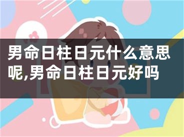 男命日柱日元什么意思呢,男命日柱日元好吗