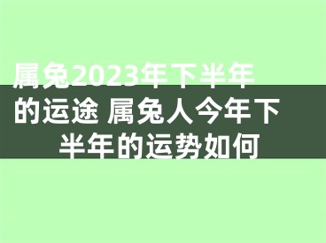 属兔2023年下半年的运途 属兔人今年下半年的运势如何