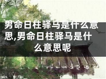 男命日柱驿马是什么意思,男命日柱驿马是什么意思呢