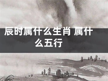 辰时属什么生肖 属什么五行 
