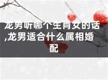 龙男听哪个生肖女的话,龙男适合什么属相婚配