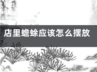 店里蟾蜍应该怎么摆放