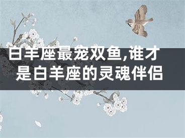 白羊座最宠双鱼,谁才是白羊座的灵魂伴侣