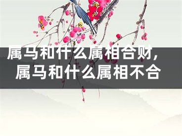属马和什么属相合财,属马和什么属相不合
