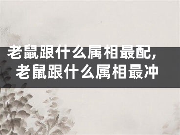 老鼠跟什么属相最配,老鼠跟什么属相最冲