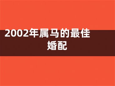 2002年属马的最佳婚配