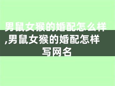 男鼠女猴的婚配怎么样,男鼠女猴的婚配怎样写网名