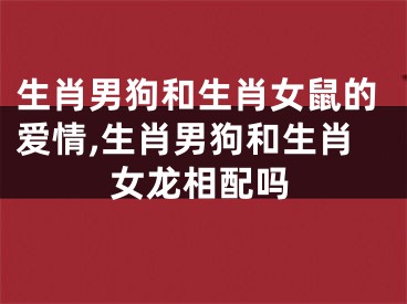 生肖男狗和生肖女鼠的爱情,生肖男狗和生肖女龙相配吗