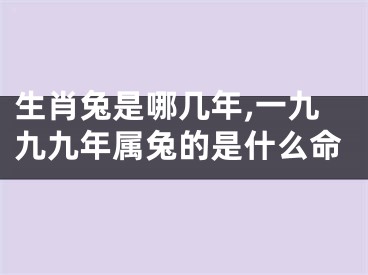 生肖兔是哪几年,一九九九年属兔的是什么命