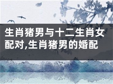 生肖猪男与十二生肖女配对,生肖猪男的婚配