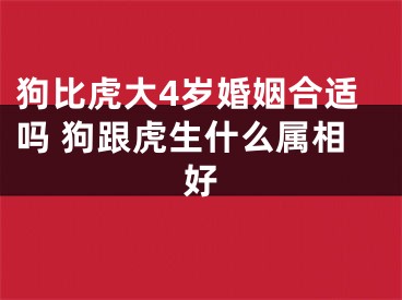 狗比虎大4岁婚姻合适吗 狗跟虎生什么属相好