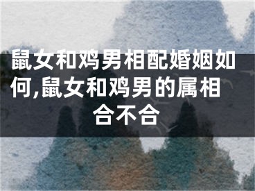 鼠女和鸡男相配婚姻如何,鼠女和鸡男的属相合不合