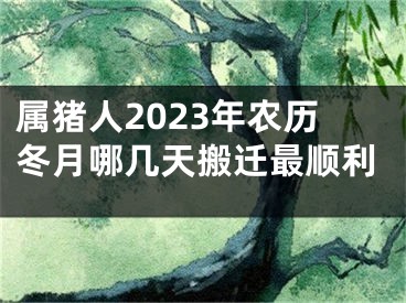 属猪人2023年农历冬月哪几天搬迁最顺利