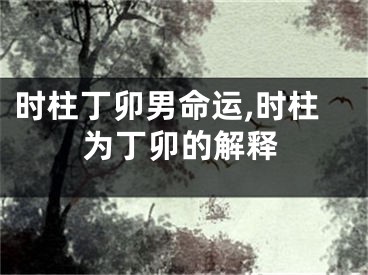 时柱丁卯男命运,时柱为丁卯的解释