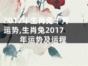 2017年生肖兔十月运势,生肖兔2017年运势及运程