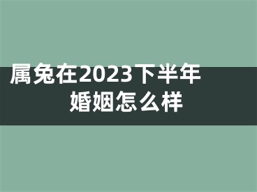 属兔在2023下半年婚姻怎么样