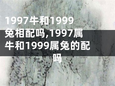1997牛和1999兔相配吗,1997属牛和1999属兔的配吗