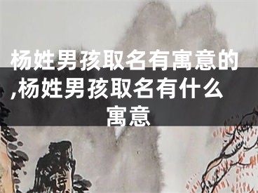 杨姓男孩取名有寓意的,杨姓男孩取名有什么寓意