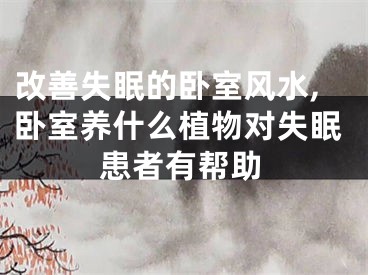 改善失眠的卧室风水,卧室养什么植物对失眠患者有帮助