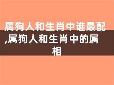 属狗人和生肖中谁最配,属狗人和生肖中的属相