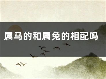 属马的和属兔的相配吗