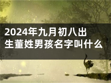 2024年九月初八出生董姓男孩名字叫什么