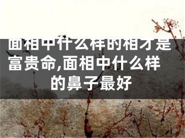 面相中什么样的相才是富贵命,面相中什么样的鼻子最好