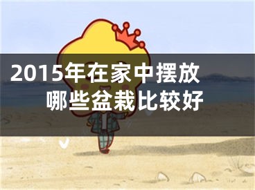 2015年在家中摆放哪些盆栽比较好