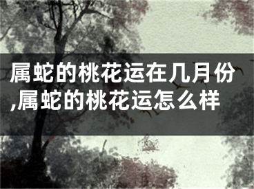 属蛇的桃花运在几月份,属蛇的桃花运怎么样