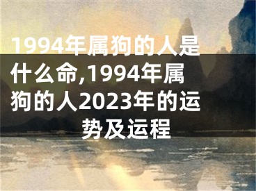 1994年属狗的人是什么命,1994年属狗的人2023年的运势及运程