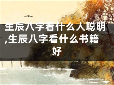 生辰八字看什么人聪明,生辰八字看什么书籍好
